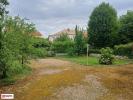 House NIORT 