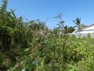 Annonce Vente Terrain Saint-benoit