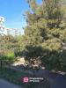 Vente Appartement Marseille-13eme-arrondissement  13013 3 pieces 48 m2