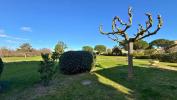 Vente Appartement Saint-cyprien 66
