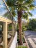 Annonce Vente 6 pi�ces Maison Noyon