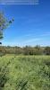 Acheter Terrain 446 m2 Bouxieres-aux-chenes