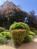 Acheter Appartement Toulouse Haute garonne