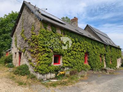 Vente Maison 12 pi�ces GRAZAY 53440