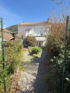 Vente Maison 7 pi�ces RIOLS 34220