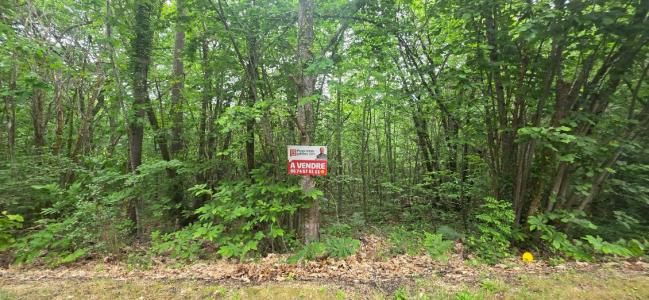 Vente Terrain BOULAZAC 24750