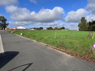 Vente Terrain SALLE-ET-CHAPELLE-AUBRY 49110