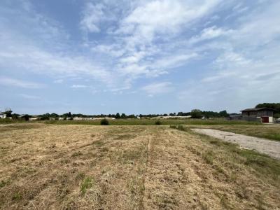 Vente Terrain MARTILLAC  33