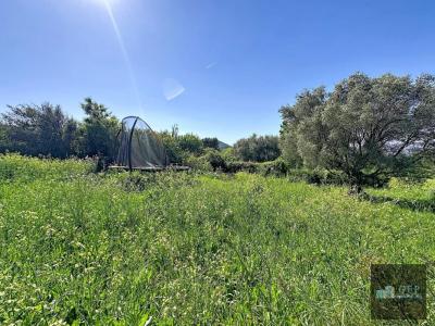 Vente Terrain CASTELLET 83330