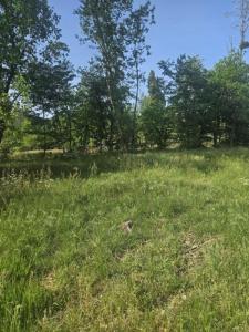 Vente Terrain SAINT-SELVE 33650