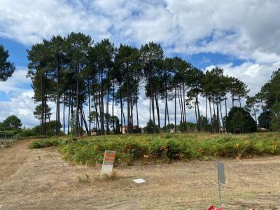 Vente Terrain AVENSAN 33480