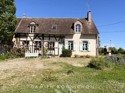 For sale House DOUCHY  45