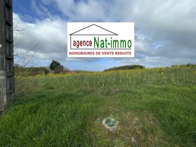 Vente Terrain COURTEMAUX 45320