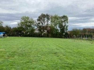 Vente Terrain LAMASQUERE 31600
