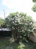 Acheter Maison Avignon 299000 euros
