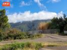 Annonce Vente 3 pi�ces Maison Tampon