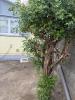 Acheter Maison 60 m2 Saint-louis