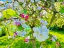Vente Maison Coulommiers 77