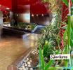 Annonce Vente Appartement Creteil