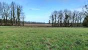 For sale Land Potigny  14420 376 m2