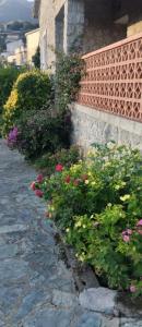 Location Maison PETRETO-BICCHISANO  20