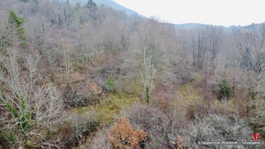 Vente Terrain SAINT-DIE 88100
