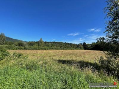 Vente Terrain SAULCY-SUR-MEURTHE 88580