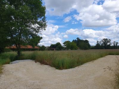 Vente Terrain SAINT-MEDARD-DE-GUIZIERES  33