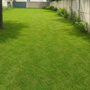 Vente Terrain REIMS 51100