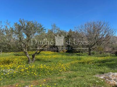 For sale House UZES 