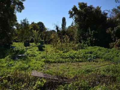 Vente Terrain SAINT-PERDON 40090
