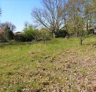 Vente Terrain ROAILLAN 33210