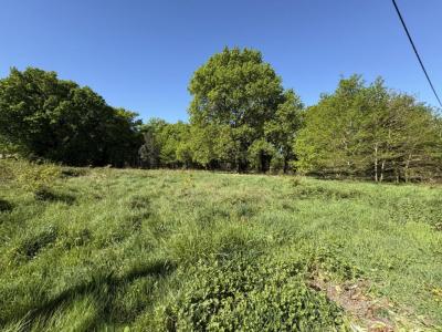Vente Terrain CASTELNAU-DE-MEDOC 33480