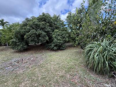 Vente Terrain RAVINE-DES-CABRIS 97432