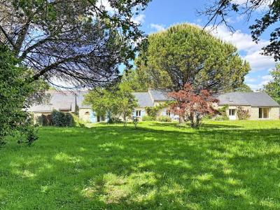 Vente Maison 12 pièces SAINT-LYPHARD 44410
