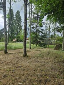 Vente Terrain LANDIRAS 33720