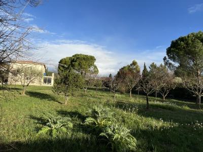 Vente Terrain EGUILLES 13510