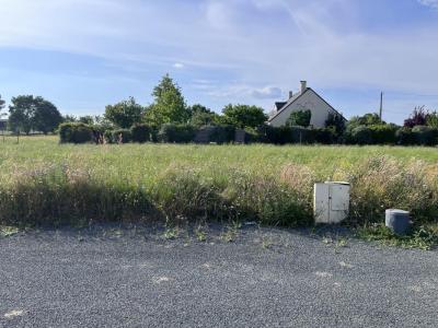 Vente Terrain CHAPELLE-SAINT-FLORENT 49410