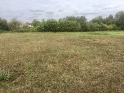 Vente Terrain SAINT-ANDRE-DE-CUBZAC 33240