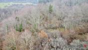 Acheter Terrain 32767 m2 Saint-die