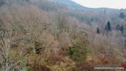 Acheter Terrain Saint-die Vosges