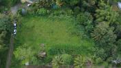 Annonce Vente Terrain Basse-pointe
