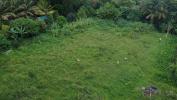 Acheter Terrain 2004 m2 Basse-pointe