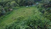 Acheter Terrain Basse-pointe Martinique