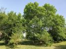 Annonce Vente 3 pi�ces Maison Varreddes