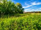 Annonce Vente Terrain Saint-romans
