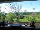 Acheter en viager Maison Saint-amand-en-puisaye Nievre