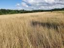 Vente Terrain Pompignac  33370 750 m2