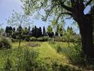 Land SAINT-REMY-DE-PROVENCE 