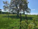 Annonce Vente 7 pi�ces Maison Mont-saint-jean